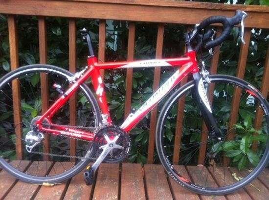 2009 Specialized Red and White