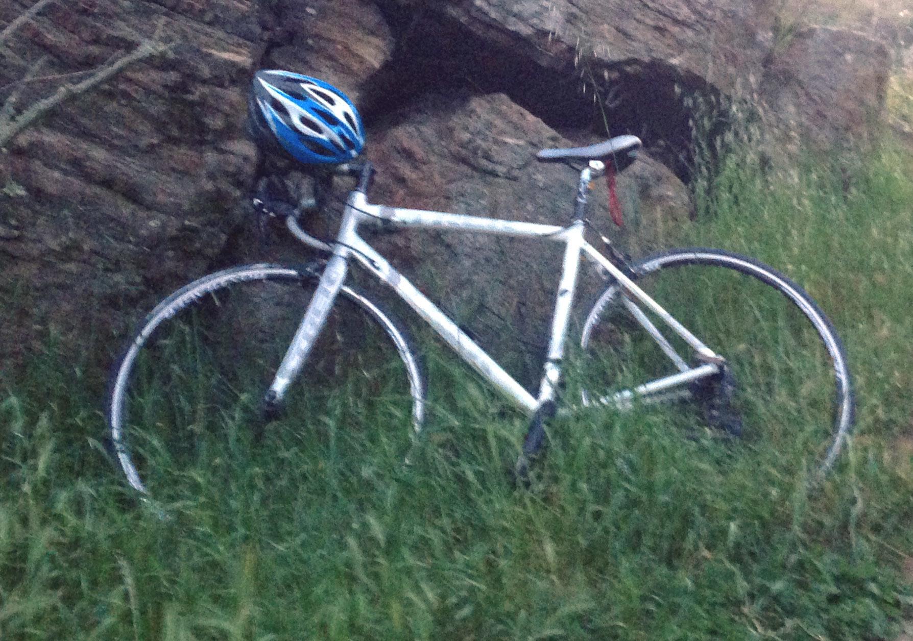 2011 Trek Lexa SLX White and Silver or Gray