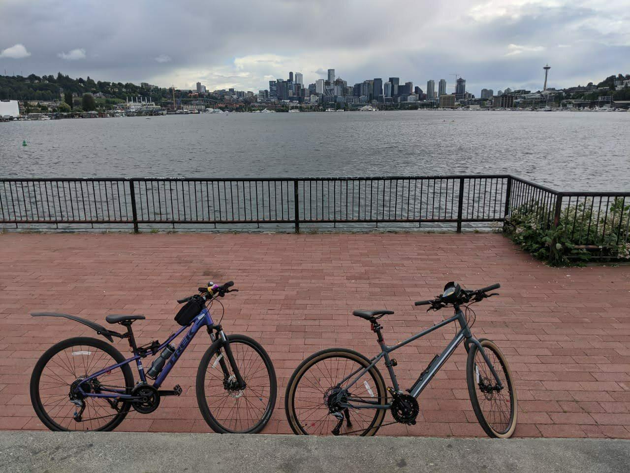 2020 Trek Trek DS 3 W'S - 20 Purple