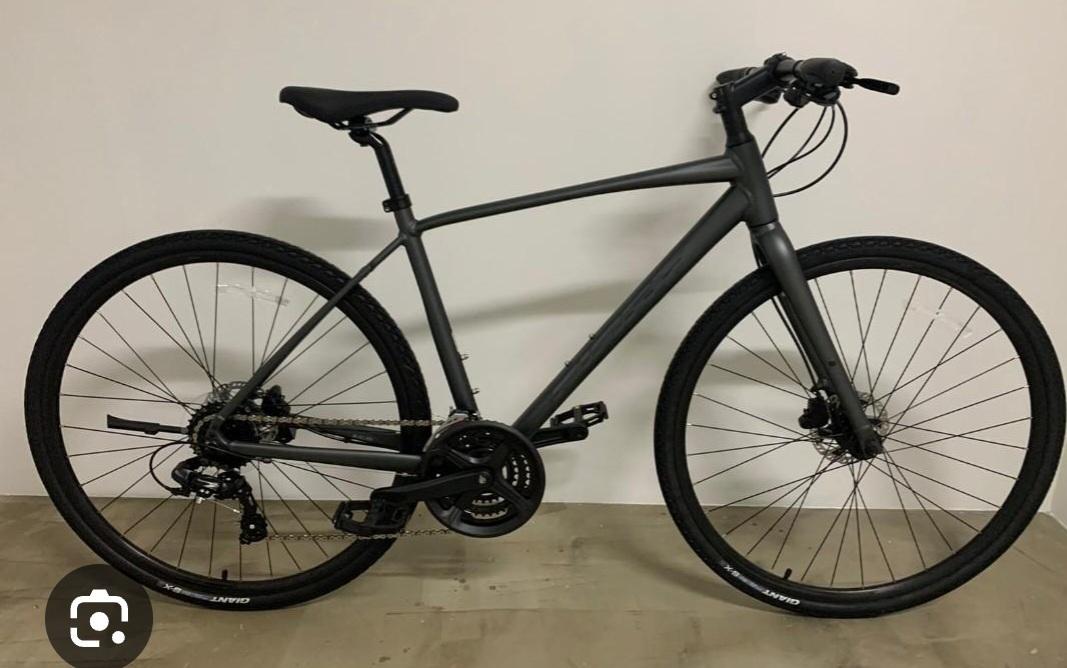 2022 Giant Escape Disc 2 Silver, gray or bare metal