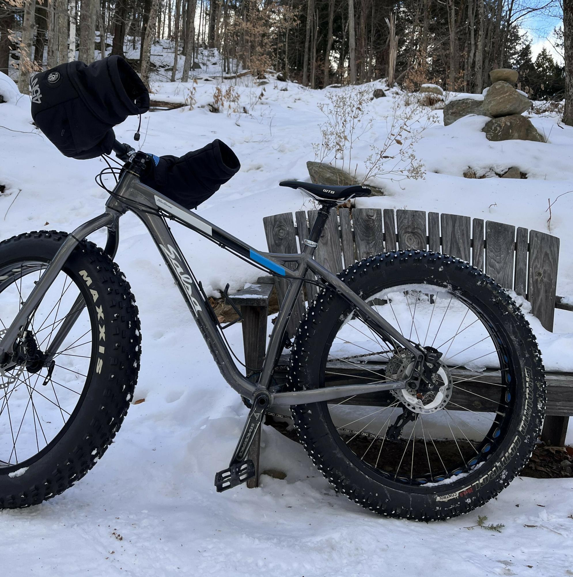 2015 Salsa blackborow Silver, gray or bare metal