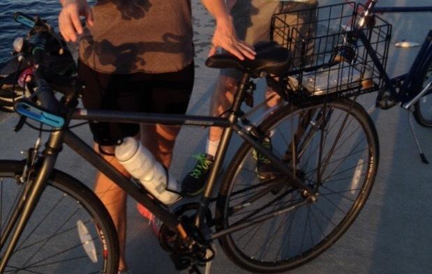 2017 Torker U-District Silver or Gray