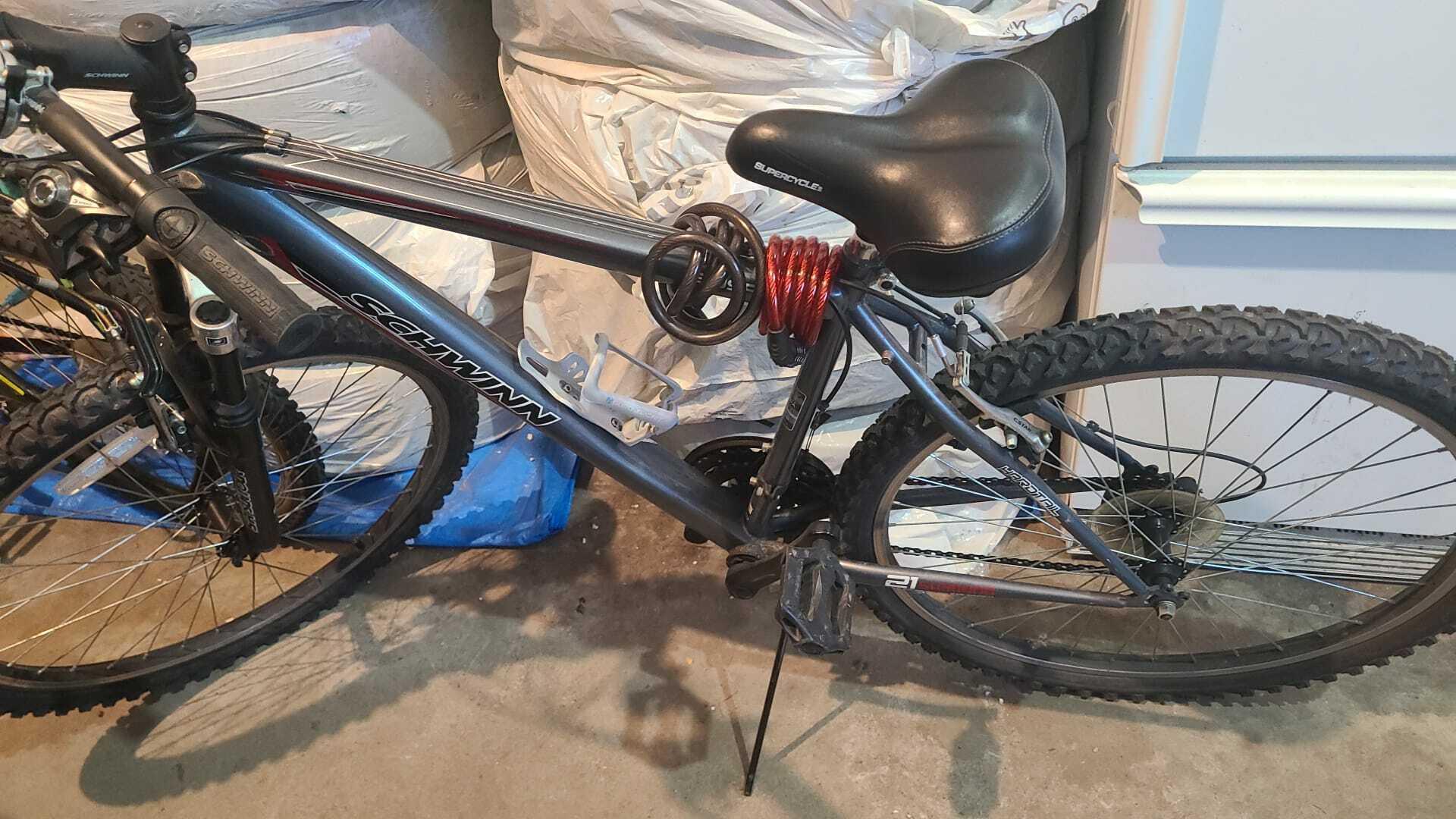 Schwinn Silver, gray or bare metal
