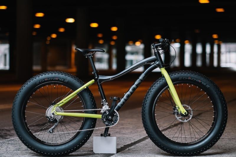 2016 Moose bikes Fat Bike 20 speed Black and Green