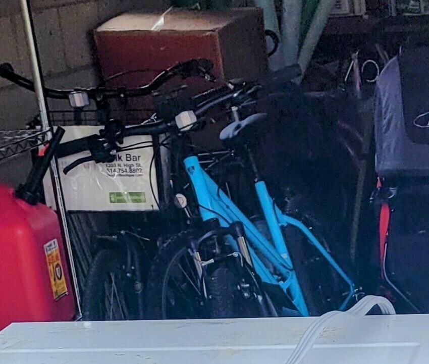 2020 Trek 820 Blue