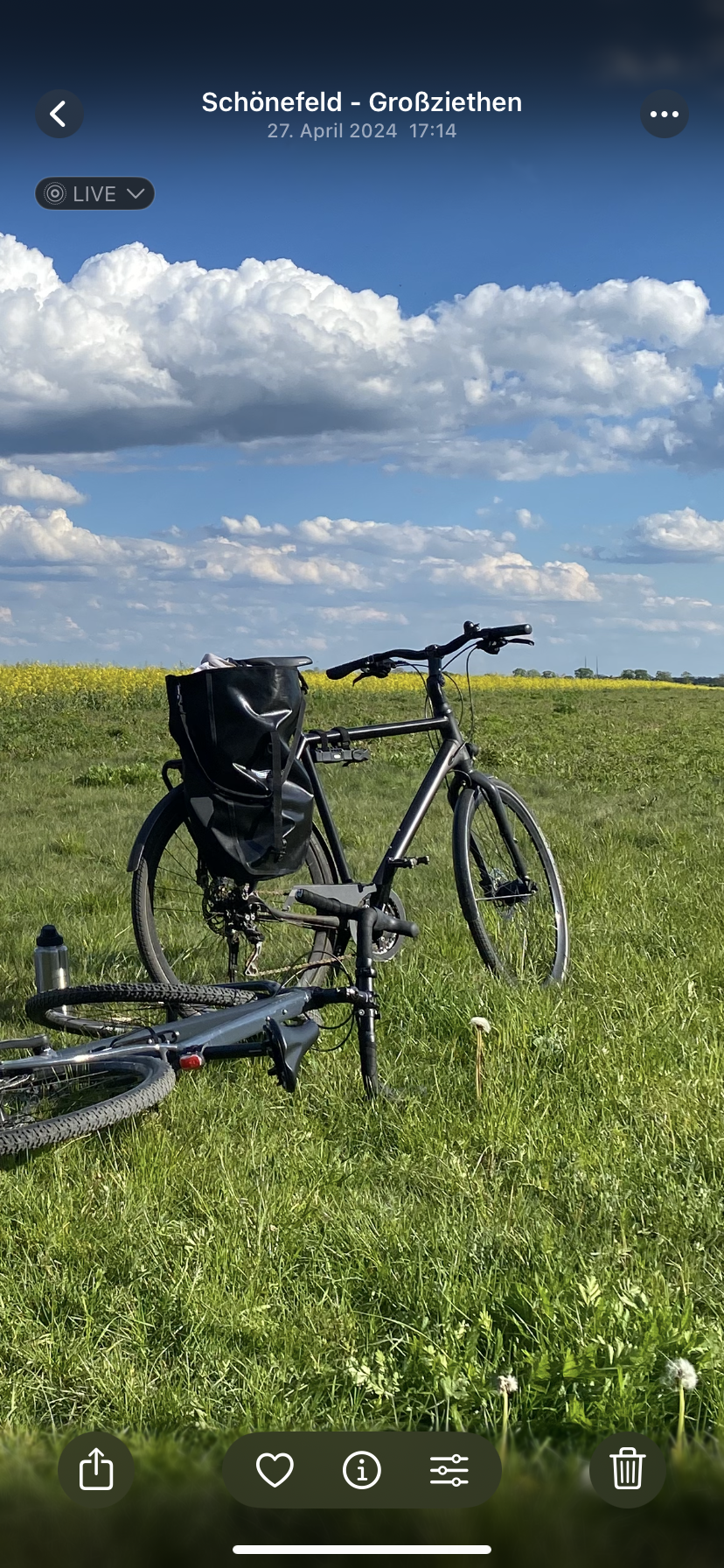 2021 Cannondale Tesoro 2 Black