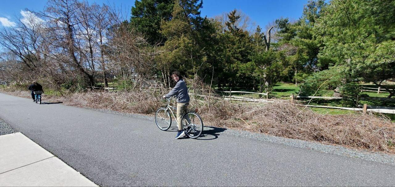 GT Bicycles Yellow or Gold