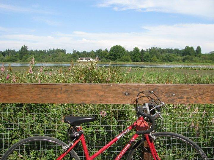 Schwinn like a Sprint, but unlabeled  Red