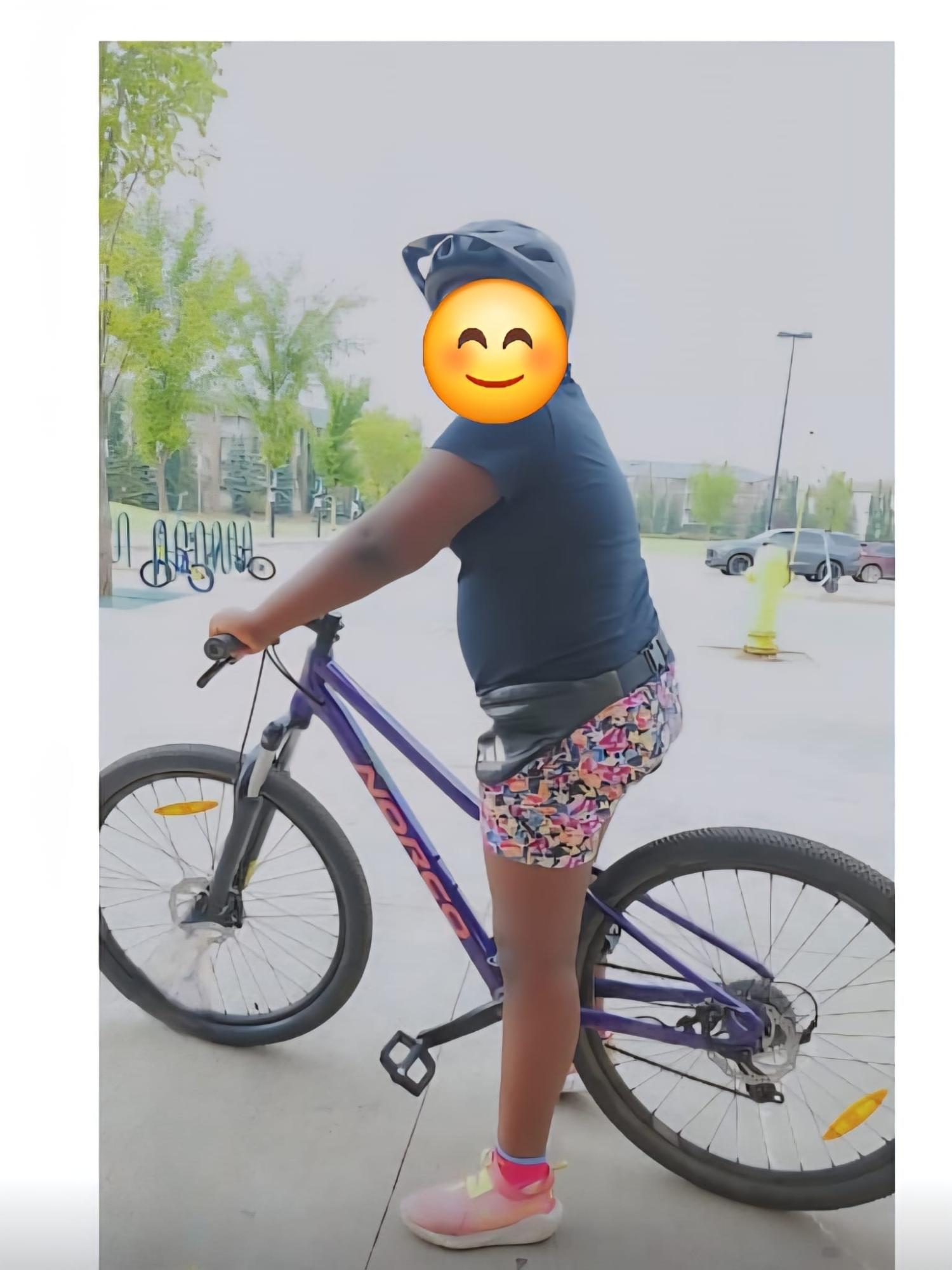 Norco Bikes Purple