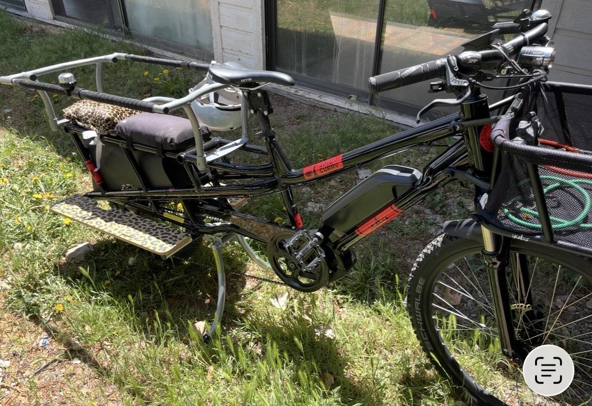 2019 Yuba AT Spicy Curry cargo bike rear Black