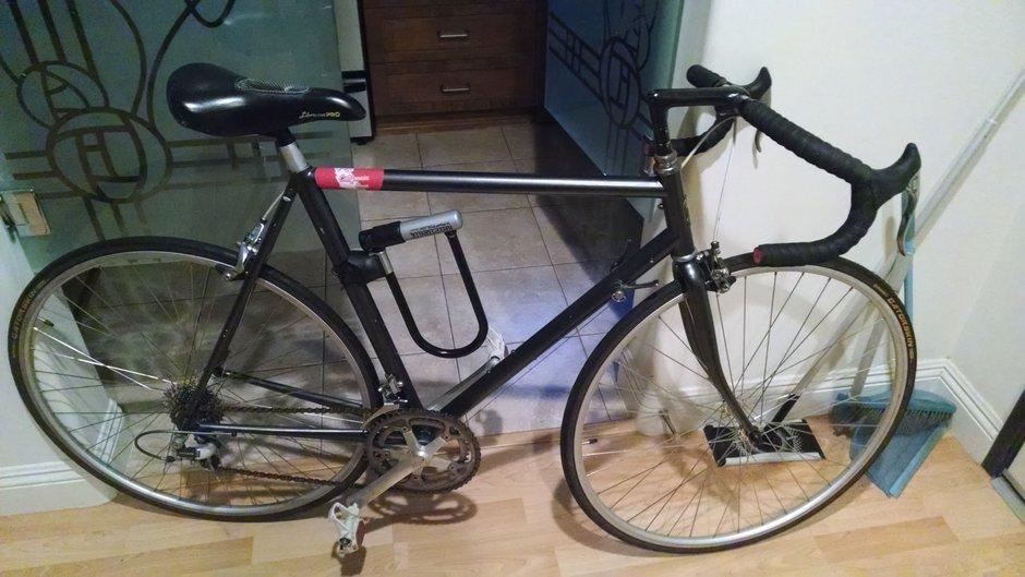 Trek 1400 Silver or Gray