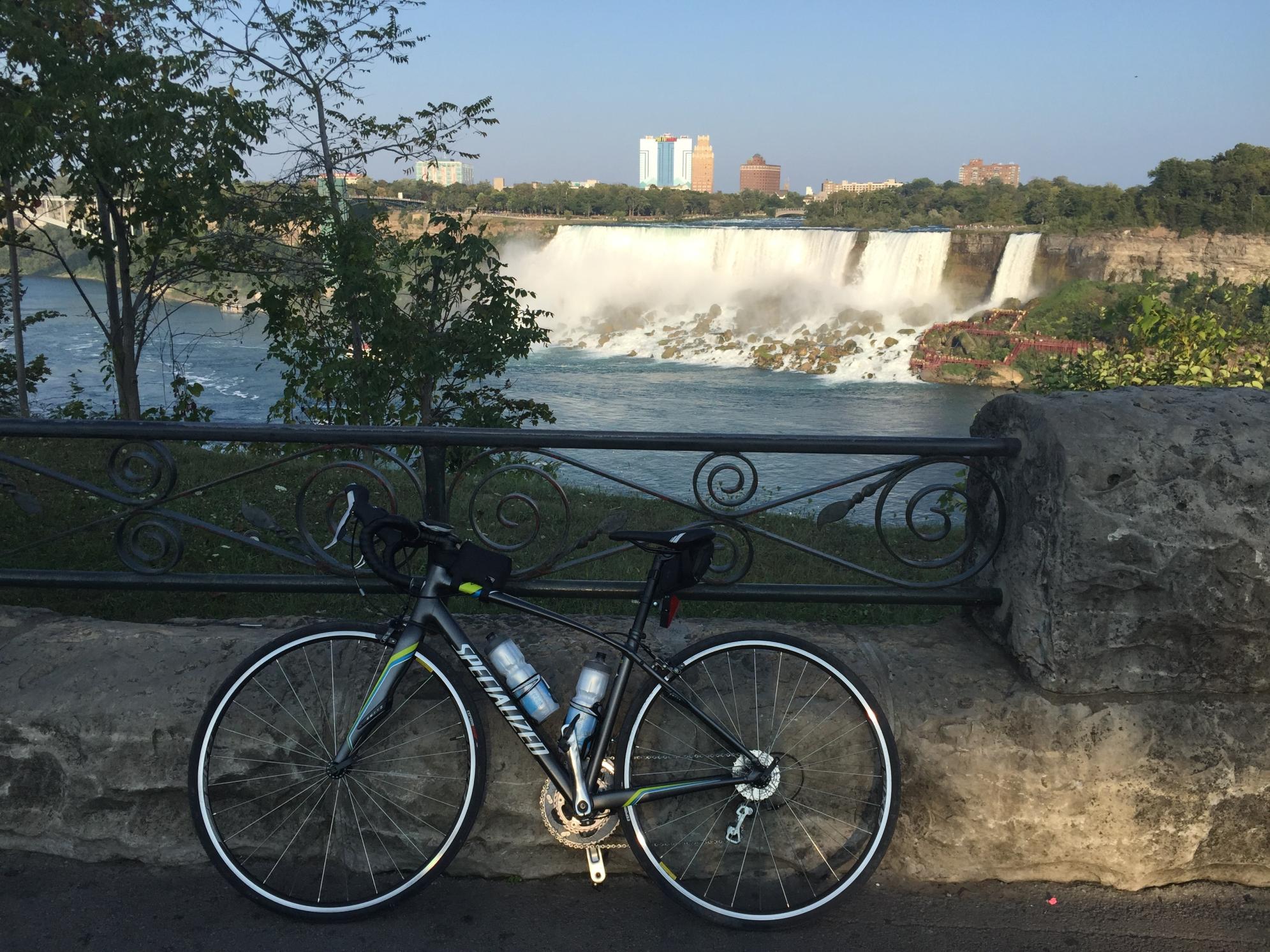 2015 Specialized Dolce Black, Blue, and Green