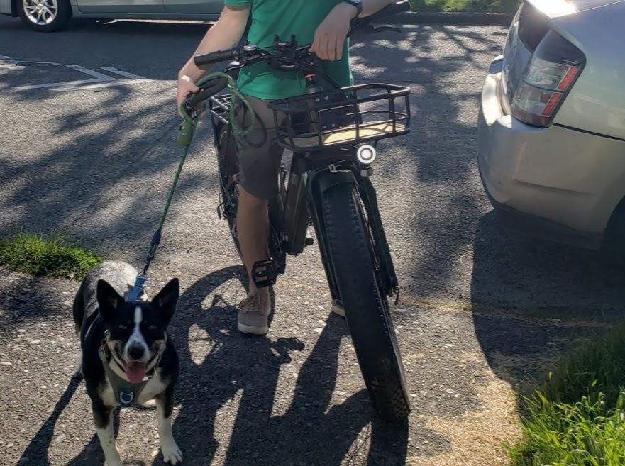 2022 Rad Power Bikes RadRover 6 Plus Silver, gray or bare metal