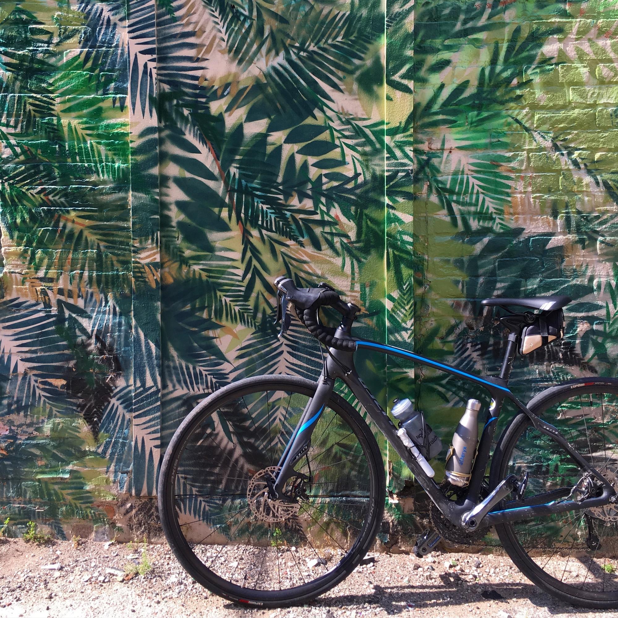 2016 Specialized Ruby Disc Black and Blue