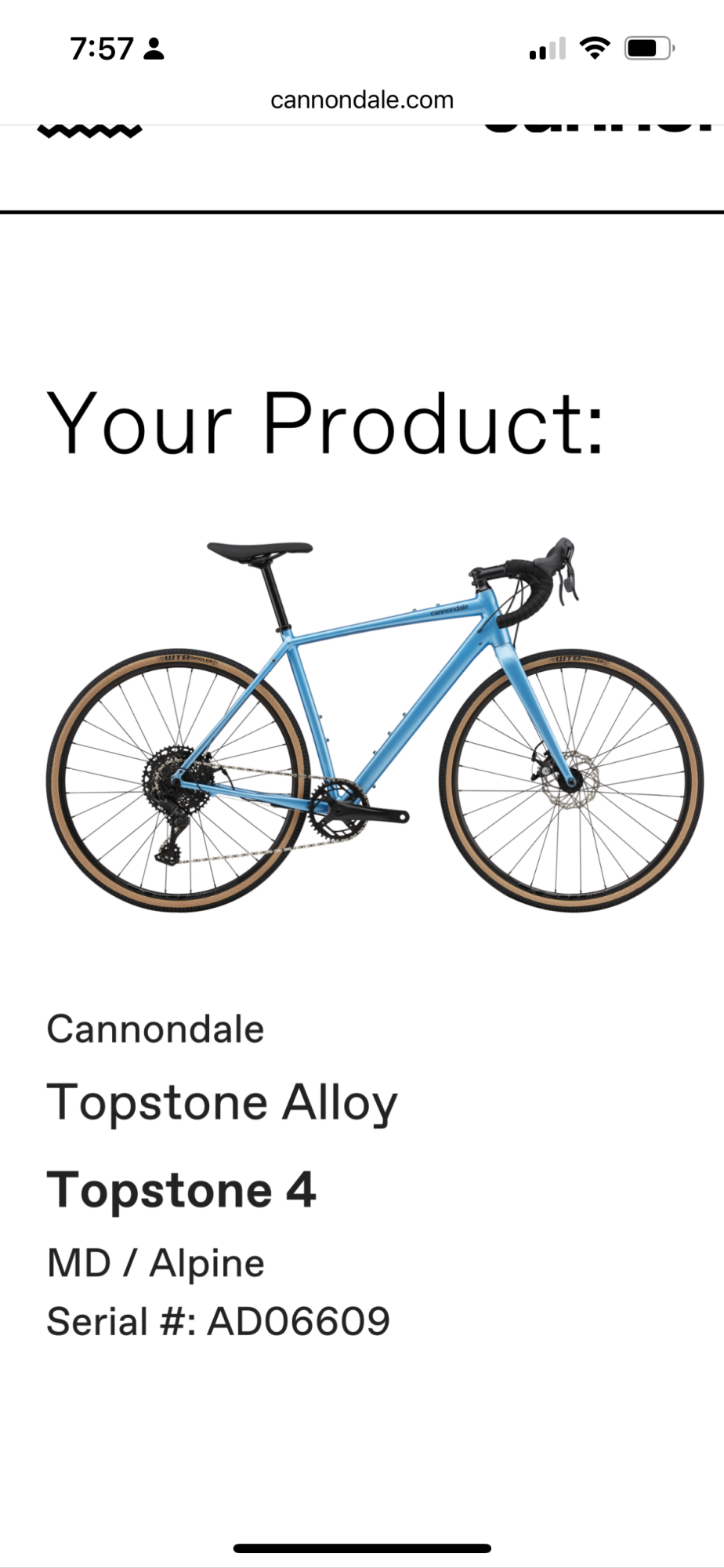 2022 Cannondale Topstone Blue