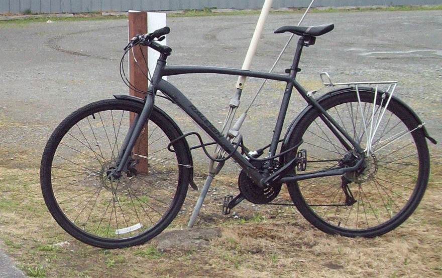 Raleigh MISCE02.0 Silver or Gray