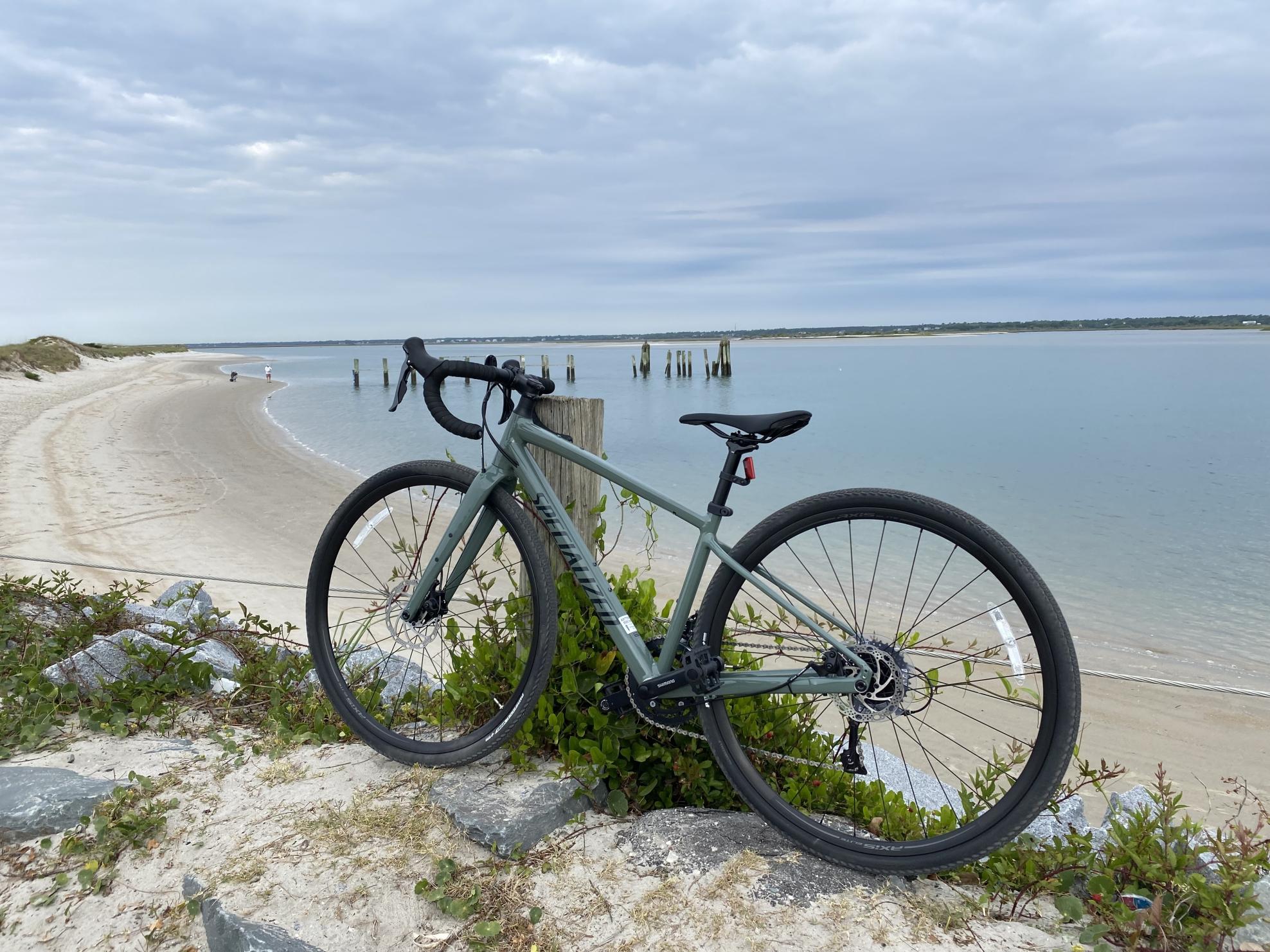 2021 Specialized Diverge E5 56 Green