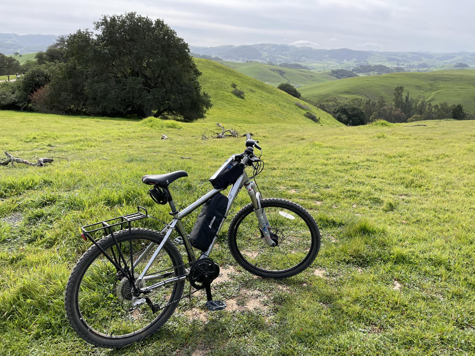 Marin Bikes Mountain bike Silver, gray or bare metal