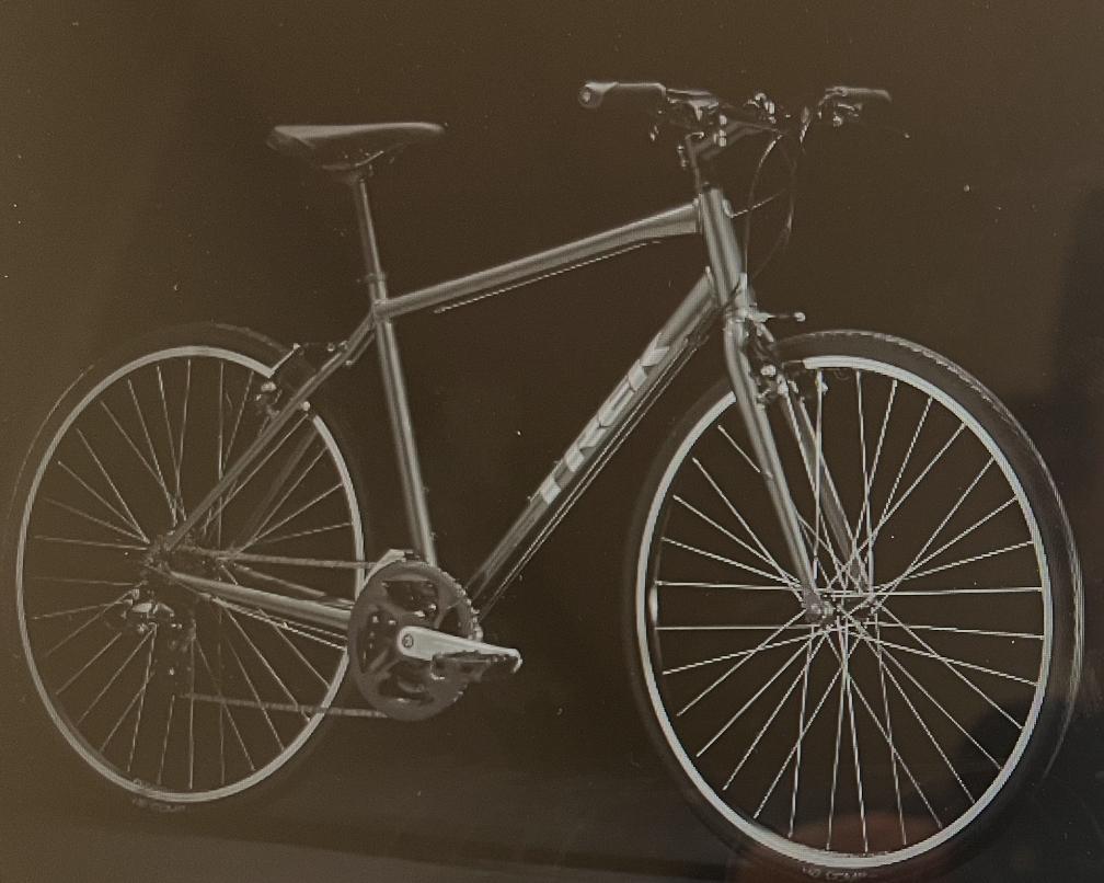 2024 Trek FX1 XL Black