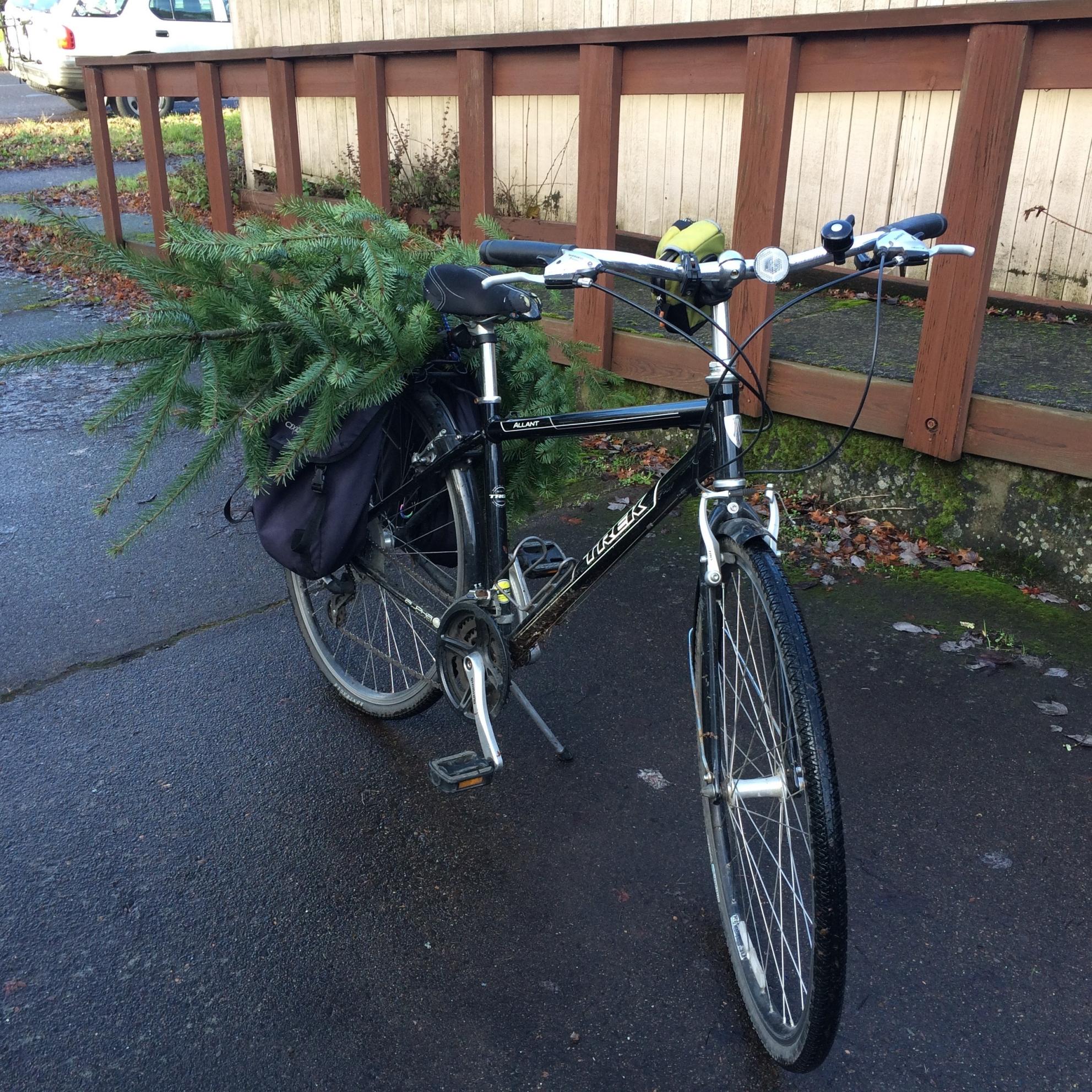 2009 Trek Allant Black