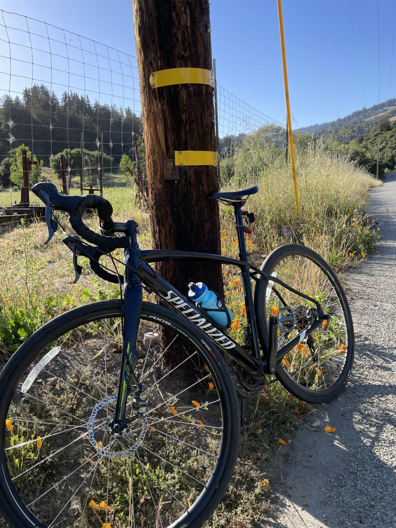 2018 Specialized Diverge Black