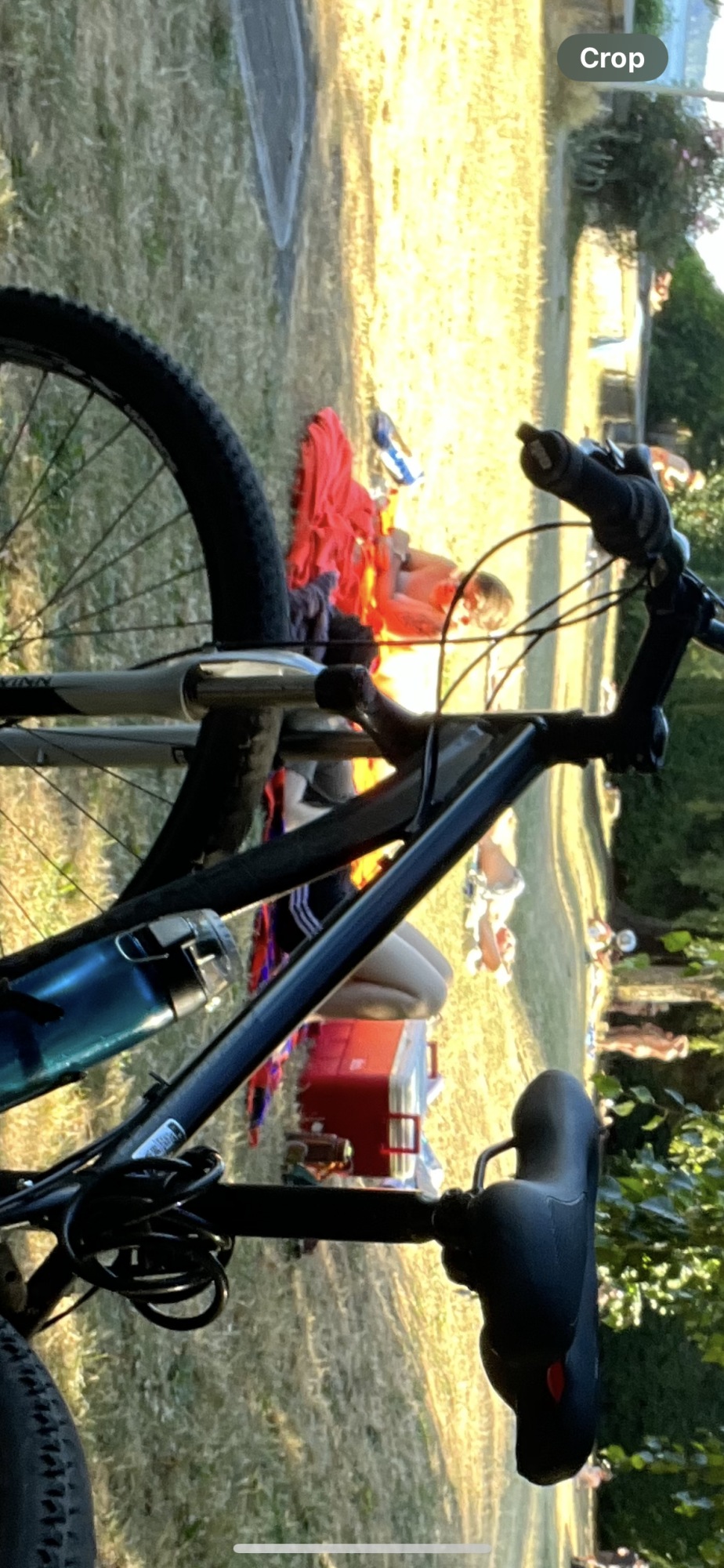 Schwinn Ascension 29 Black