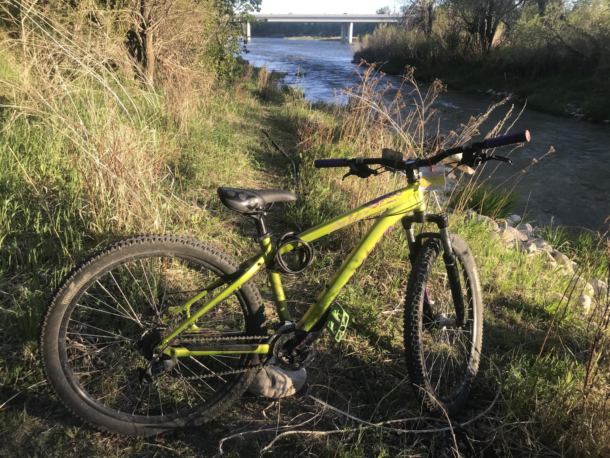 2013 Specialized p series Green