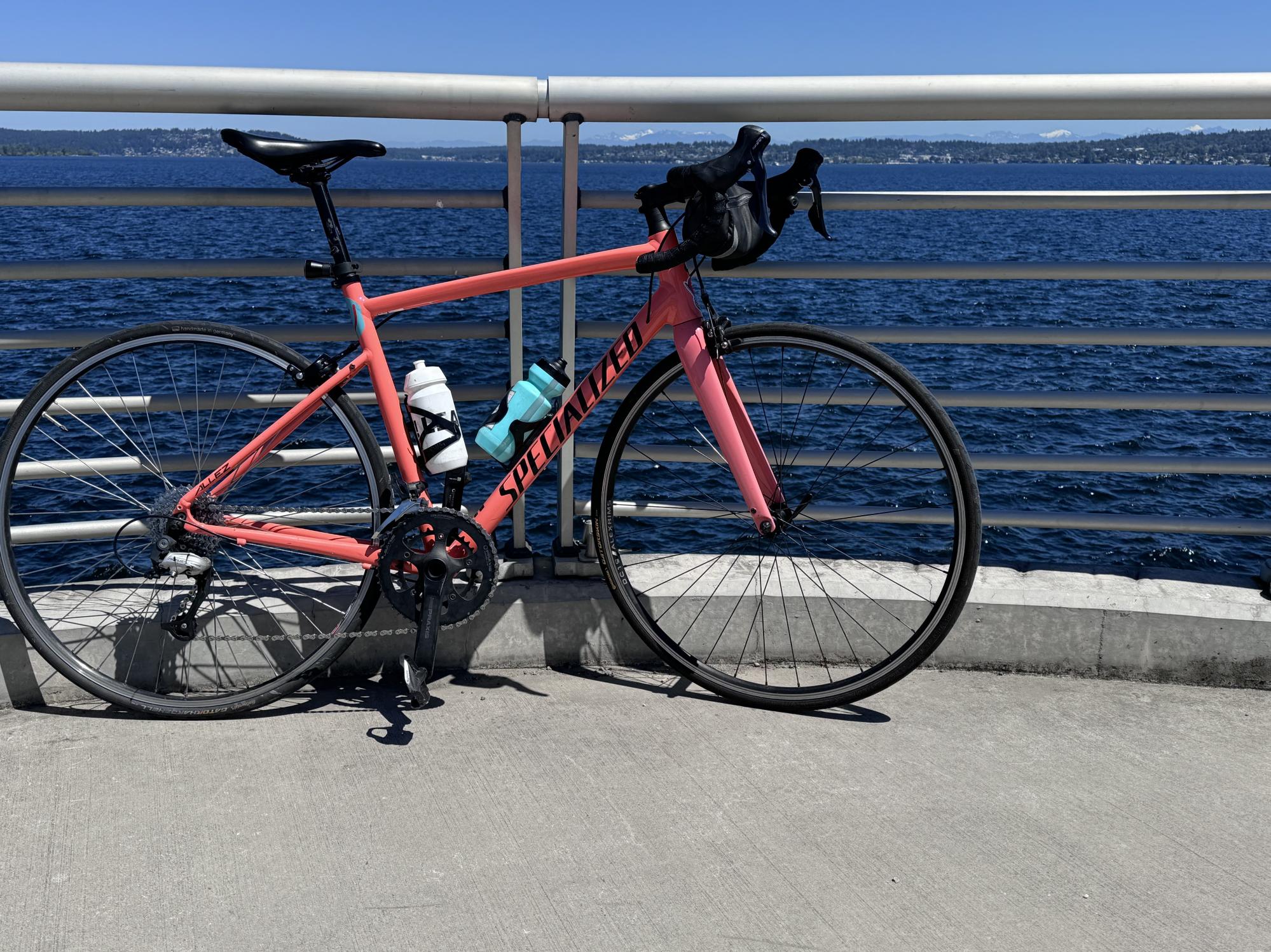 2021 Specialized Orange