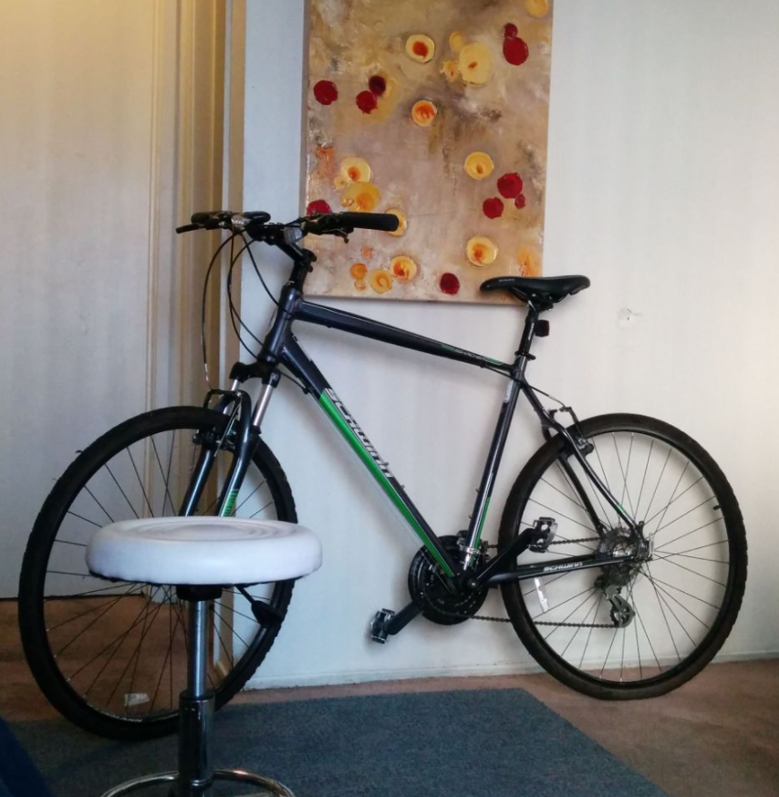 Schwinn Searcher Silver or Gray