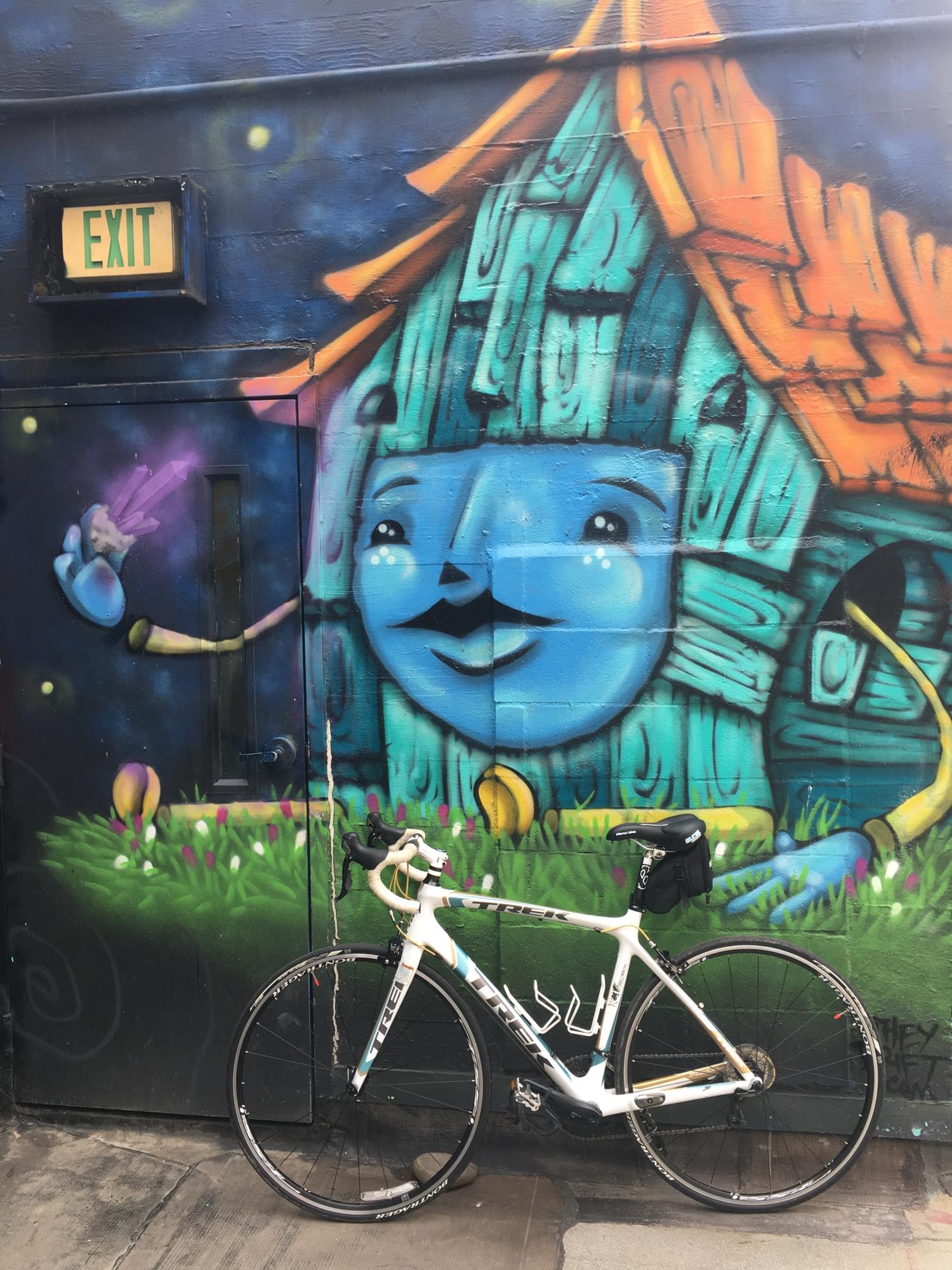 2011 Trek Madone 4.5 WSD White