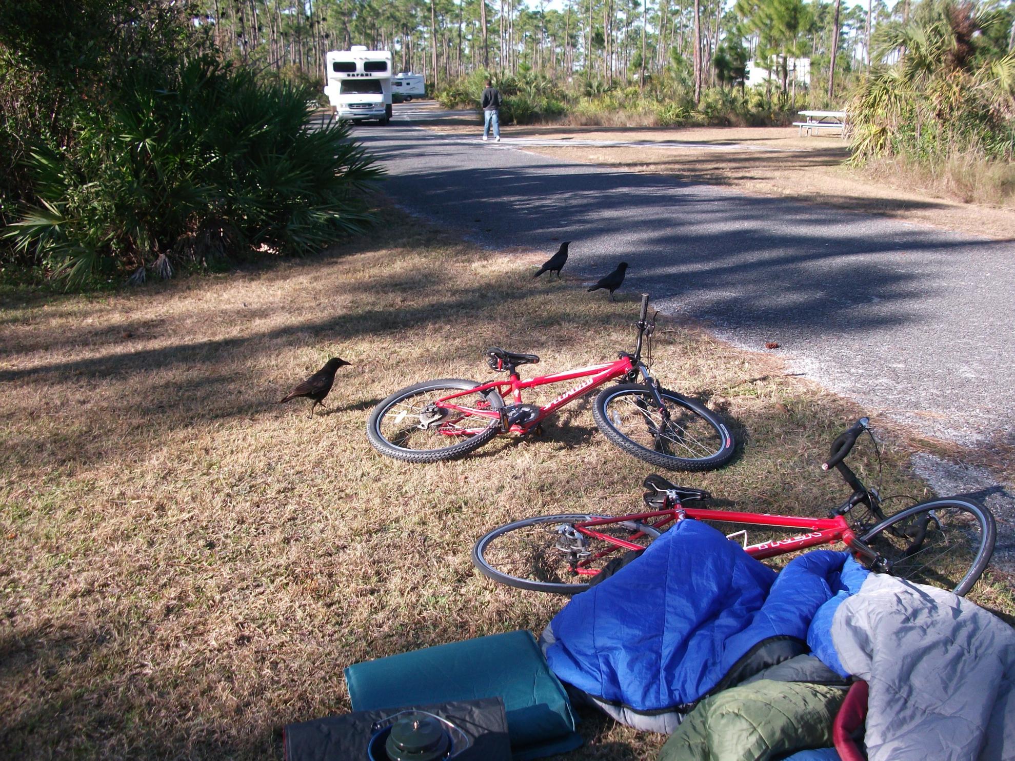 2008 Trek 1500 Dual 60 cm Red