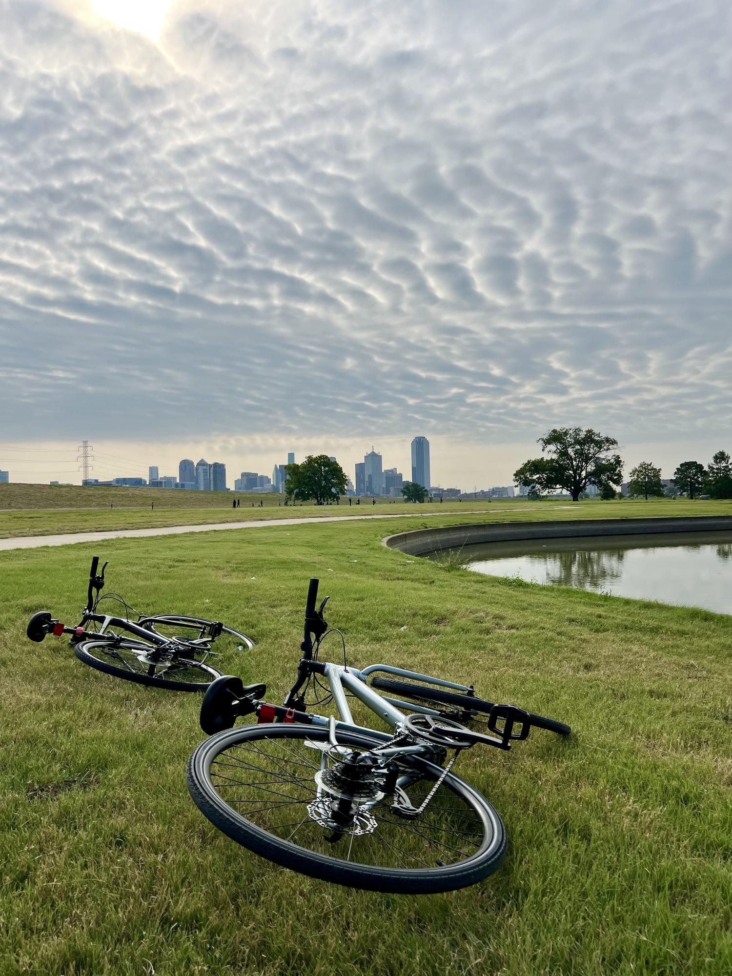 Cannondale Quick Women's 5 Silver, gray or bare metal