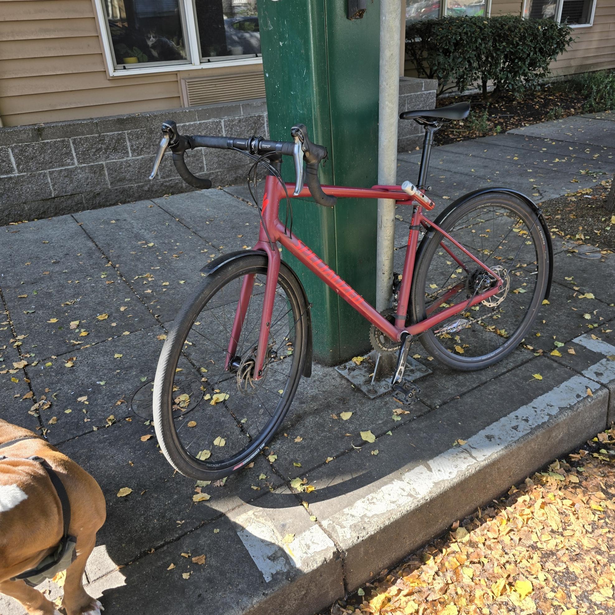 2021 Specialized Red