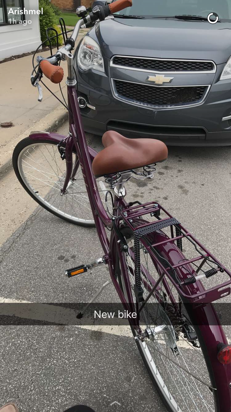 2016 Raleigh Detour 121 Purple