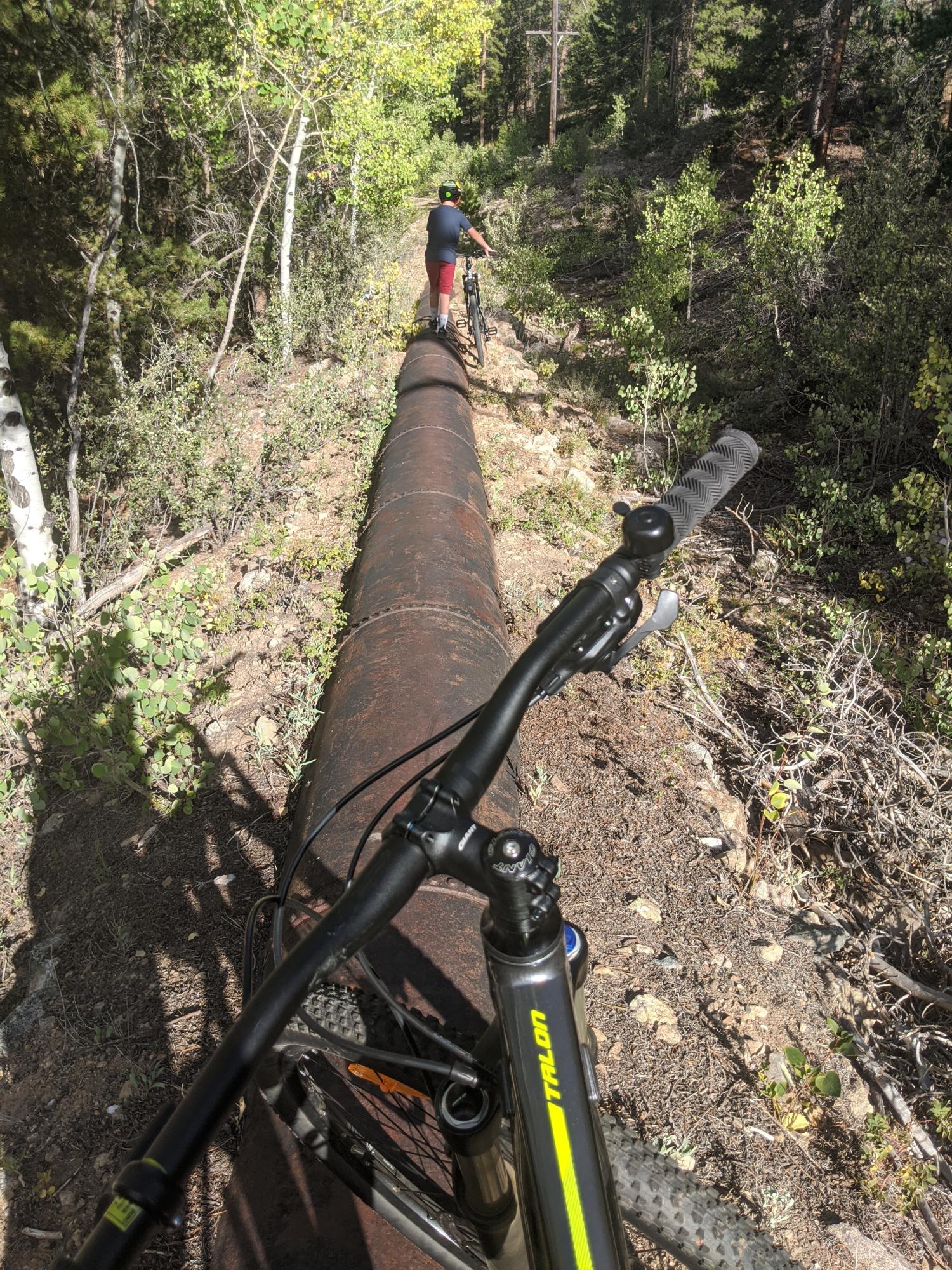 2020 Giant Talon 1 Char M Black