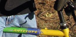 Trek 820  Yellow or Gold, Green, and Blue