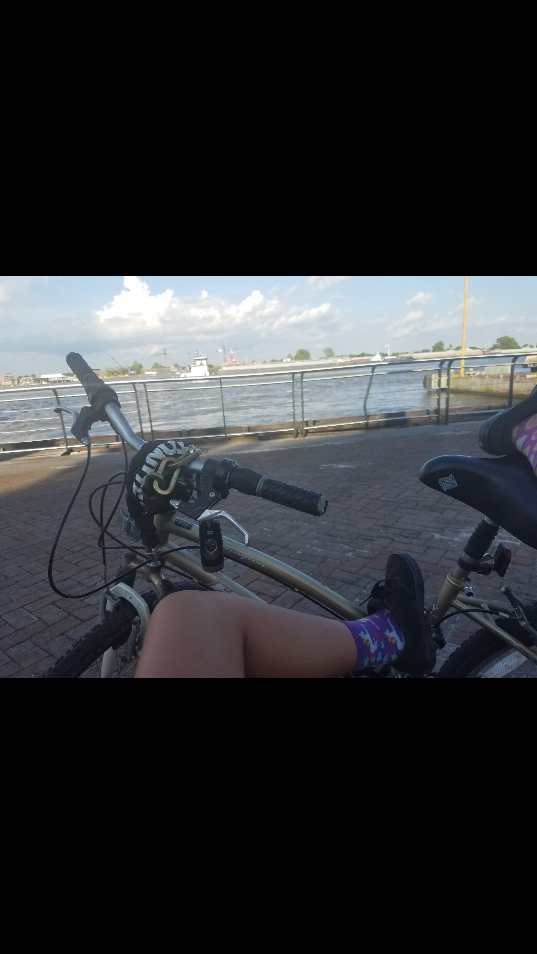 2017 Arlington Cruiser Yellow or Gold