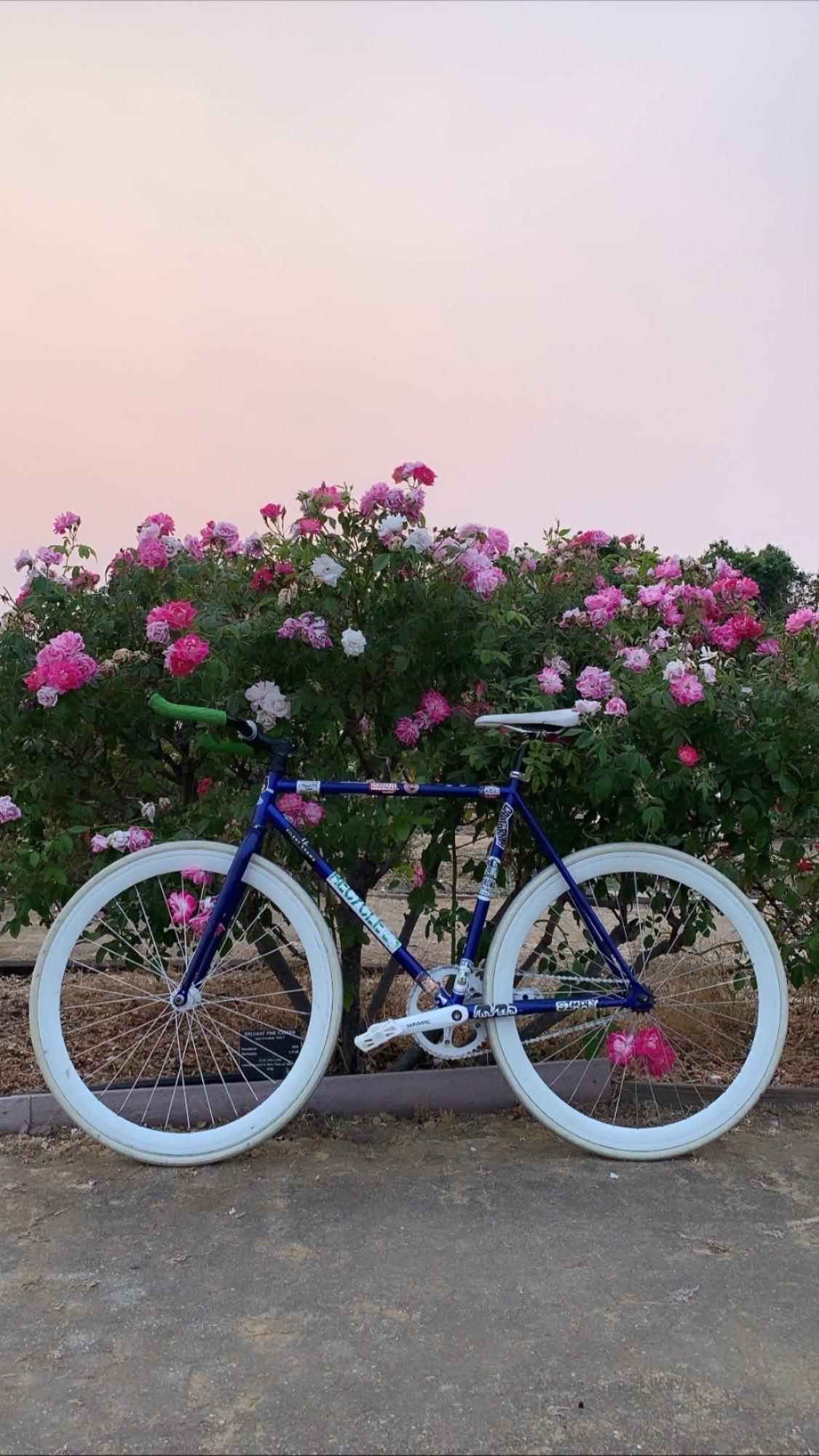 2022 Other Blue and Stickers tape or other cover-up