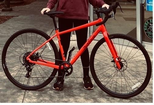 2023 Salsa Journeyer Red