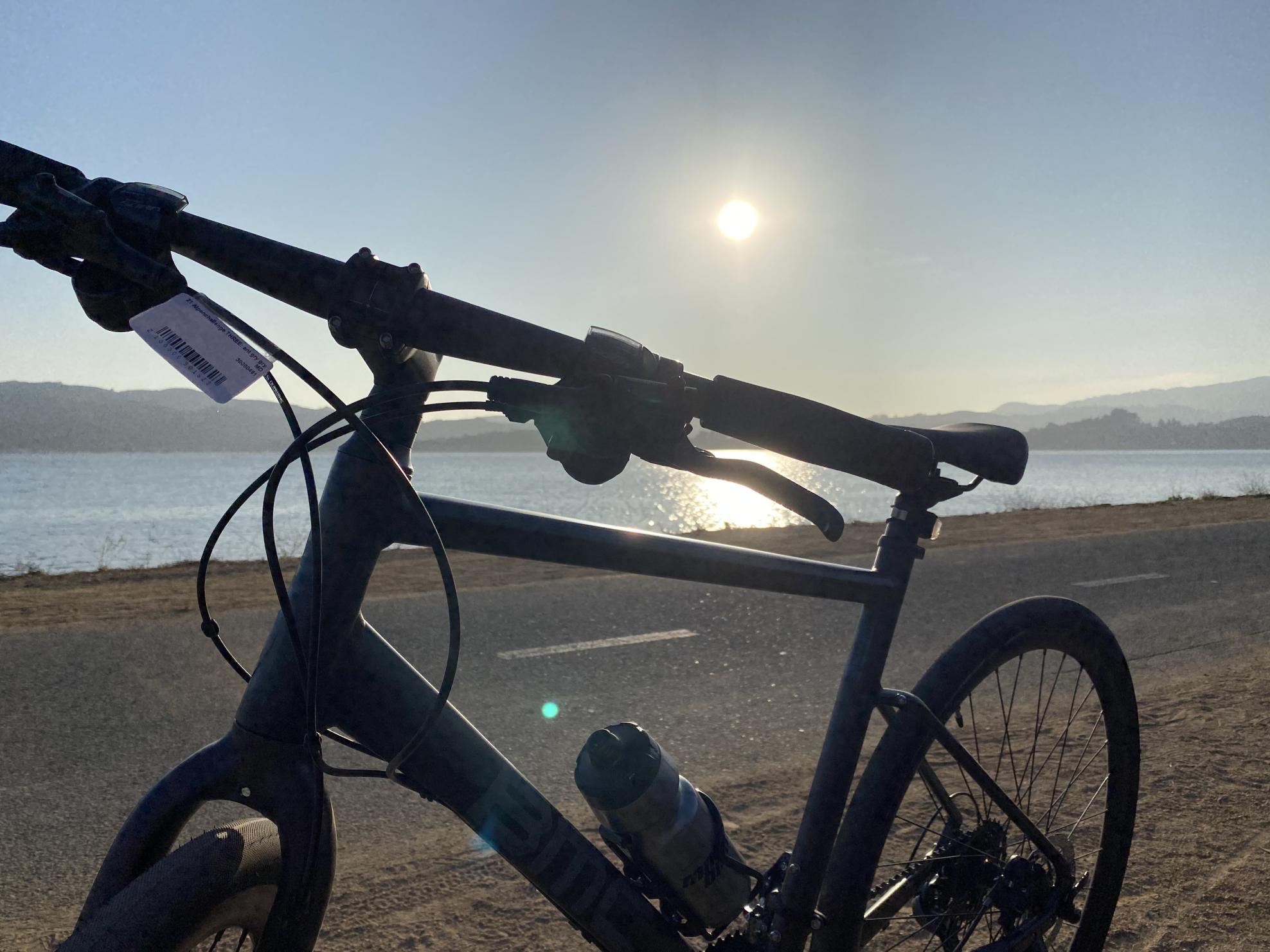 2021 BMC Alphenchallenge Silver, gray or bare metal