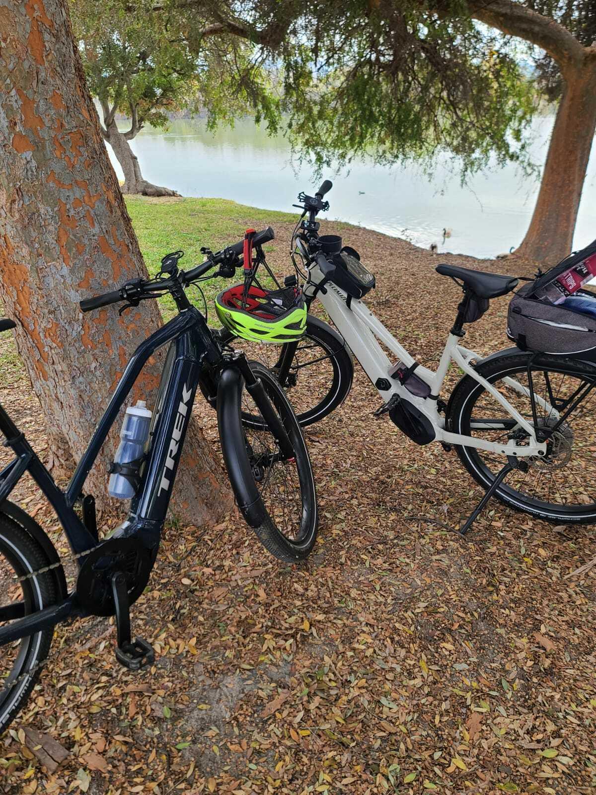 Trek Allant+ 7S Blue