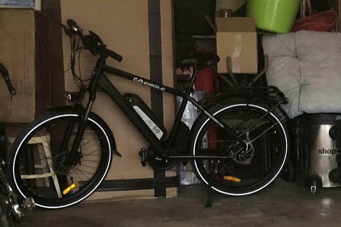 2024 GoPower GoEagle Black