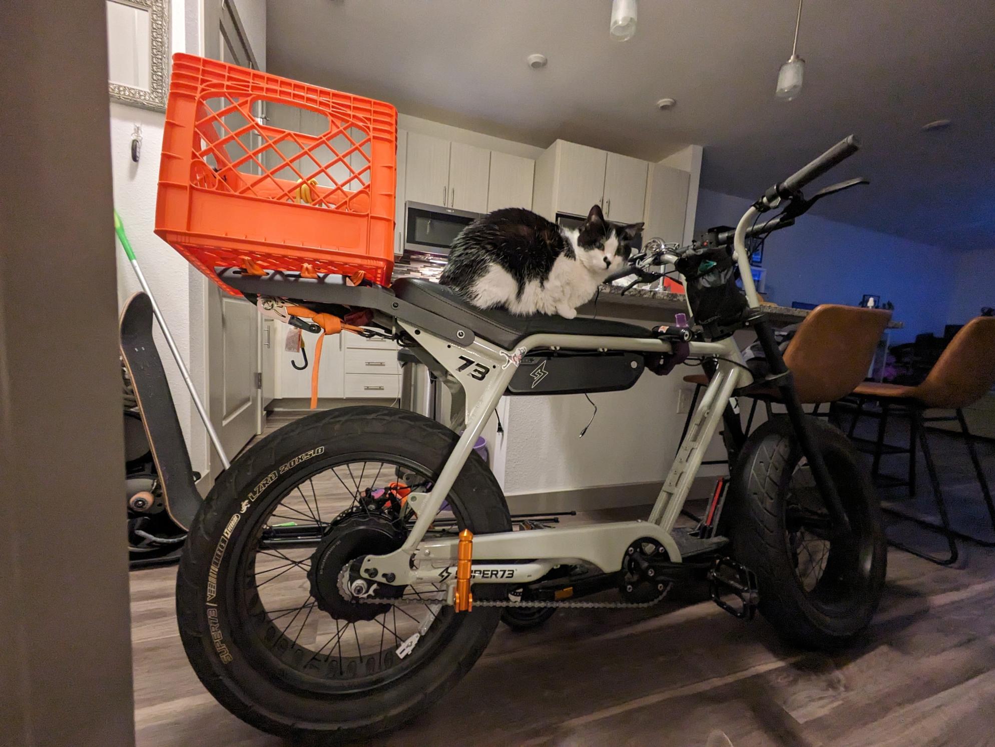 2023 Super73 ZX Silver, gray or bare metal