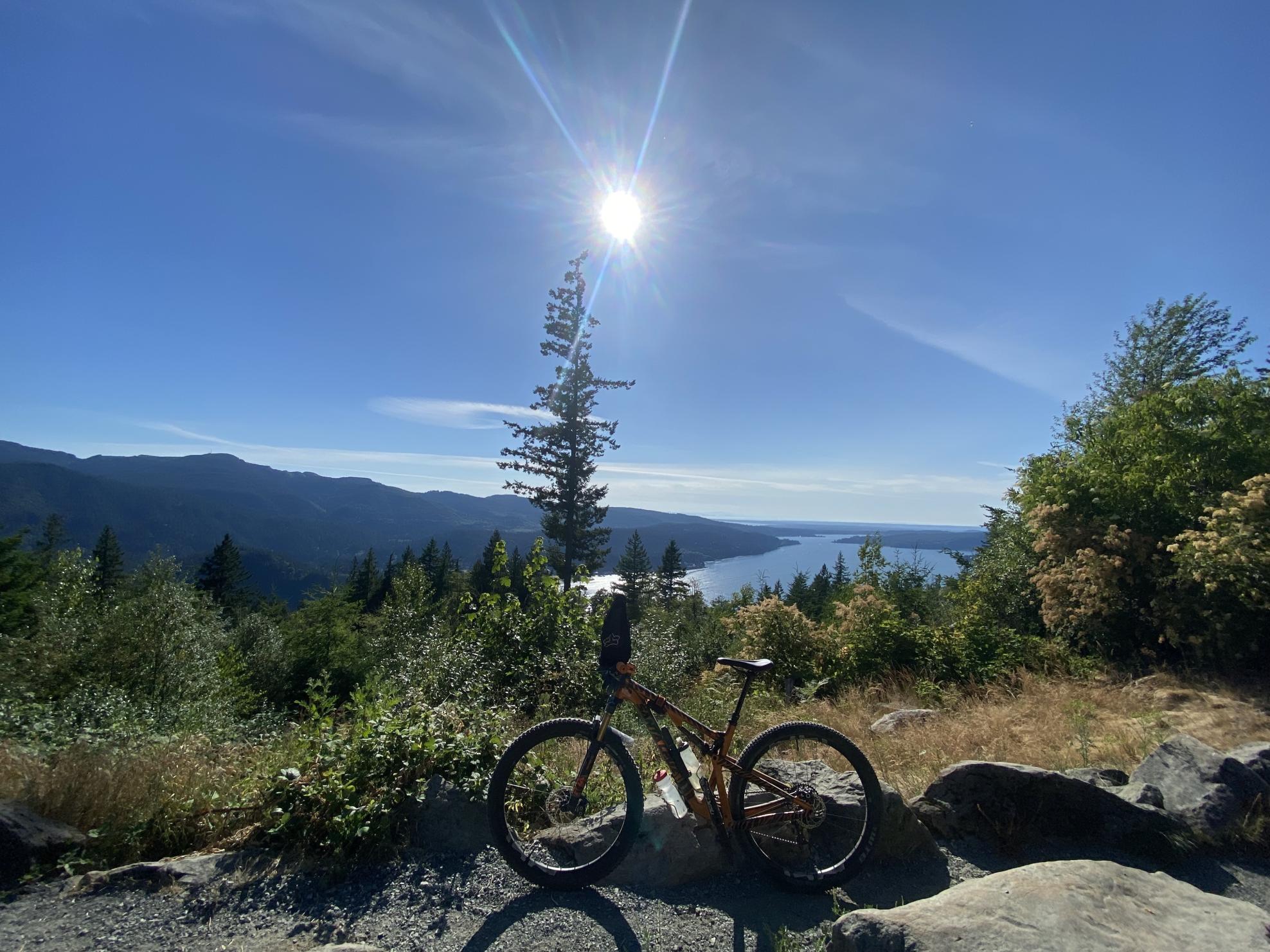 2019 Santa Cruz Tallboy Orange