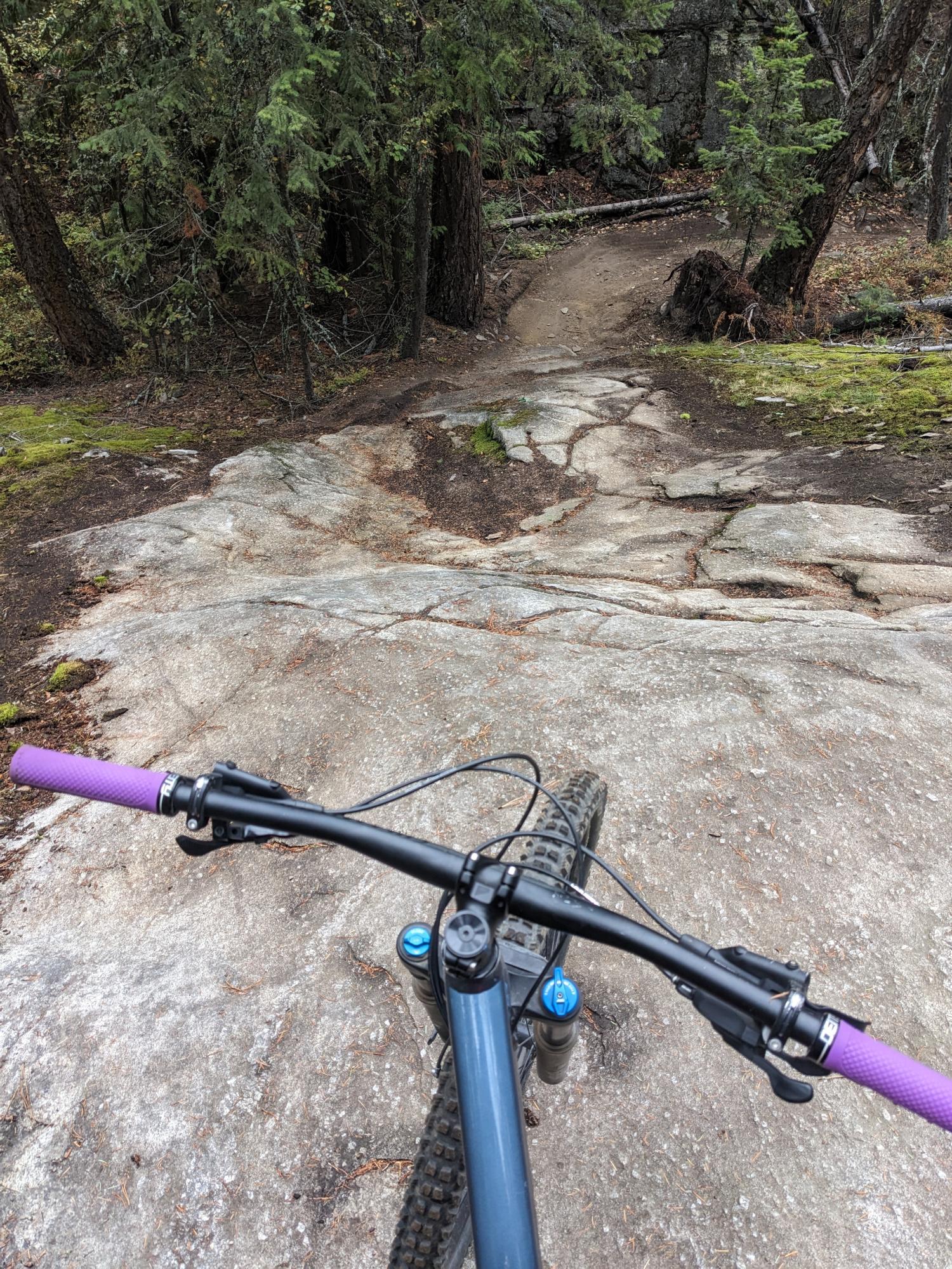 2019 Specialized FSR Comp Blue