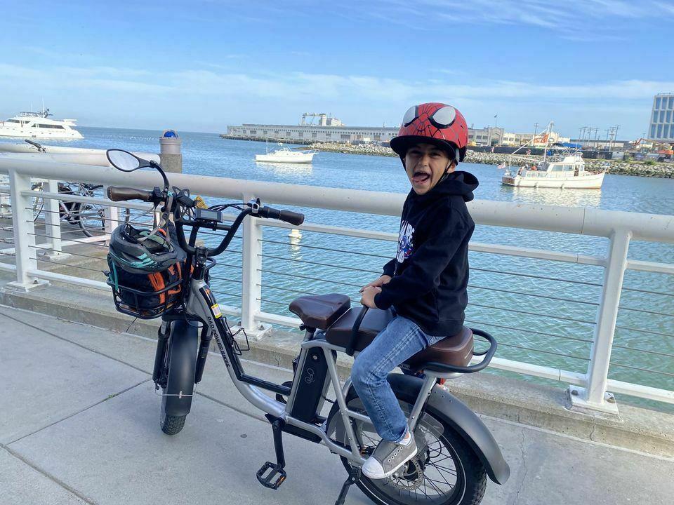 2021 Rad Power Bikes RadRunner Plus Silver, gray or bare metal and Brown