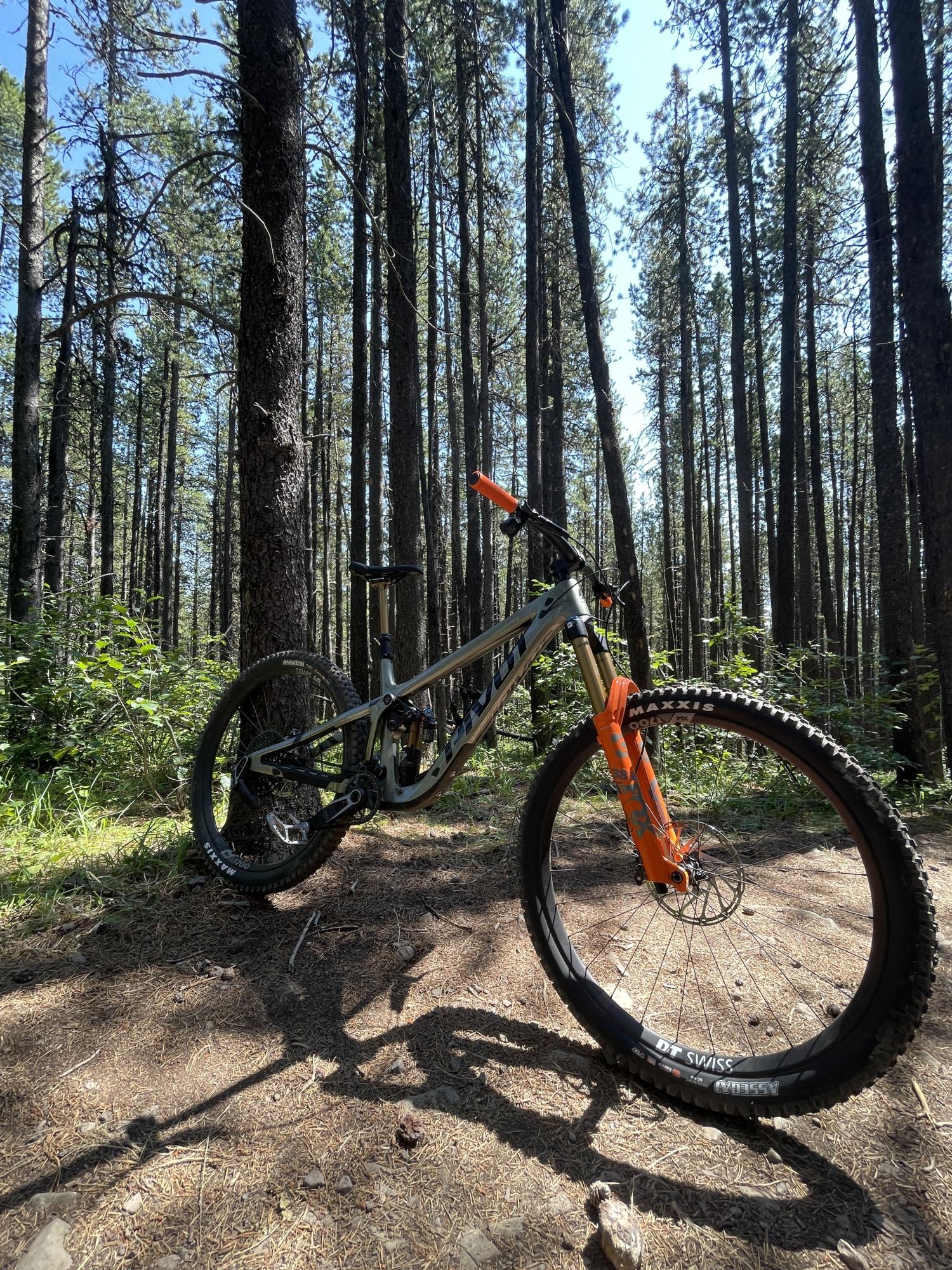 2023 Pivot 2023 Green