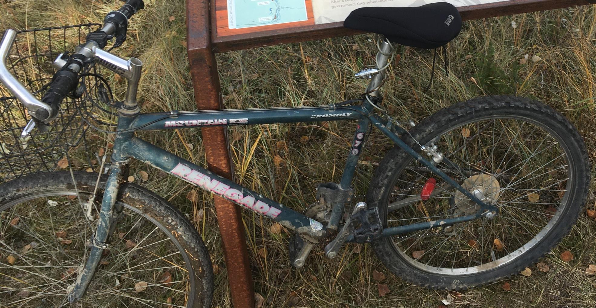 1996 Raleigh Renegade Blue