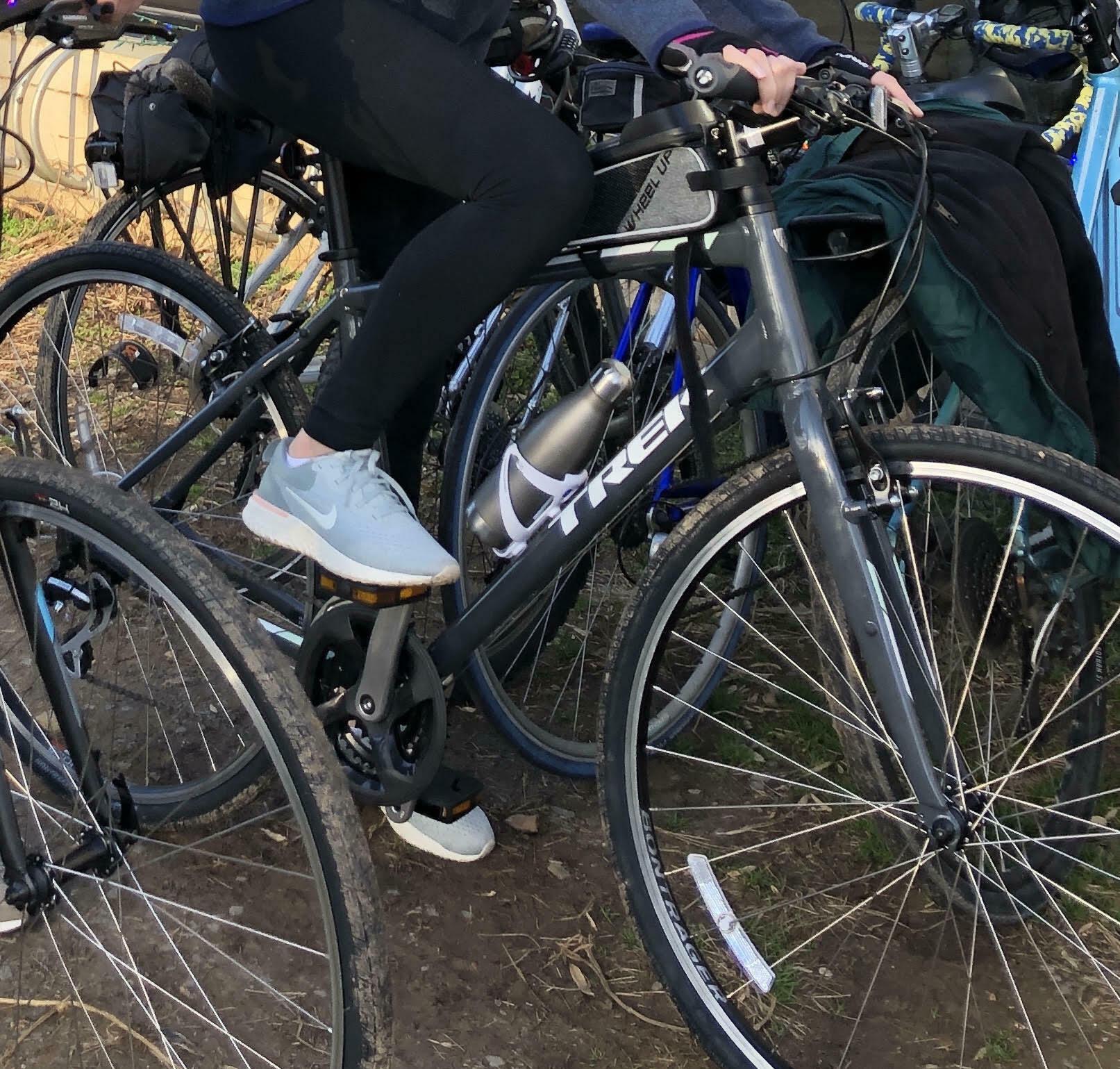 2018 Trek Women's FX 2 (Model #: 547991) Silver, gray or bare metal