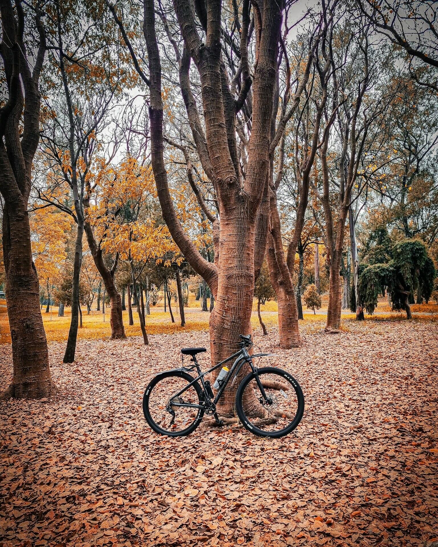 2023 Merida Bikes Big 9 300 Silver, gray or bare metal